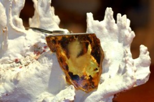 ambre-rd-3 ambre-naturel-blue-stone