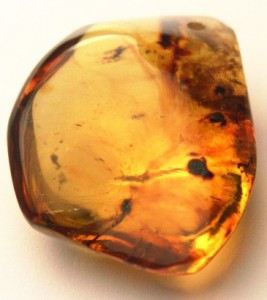 ambre-caraibes-republique-dominicaine