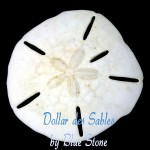 bijou Blue Stone argent dollar des sables. 925 silver sand dollar. dollar de arena en plata 925